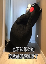 Ҳ��֪��ô��ͻȻ�ͻ���ʲ��˱����