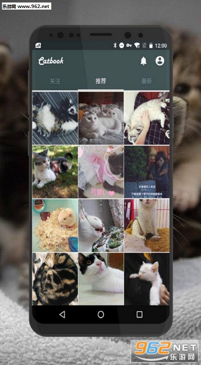 catbook��׿��v1.1��ͼ0