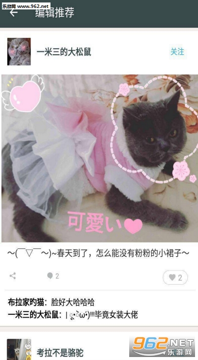 catbook��׿��v1.1��ͼ1