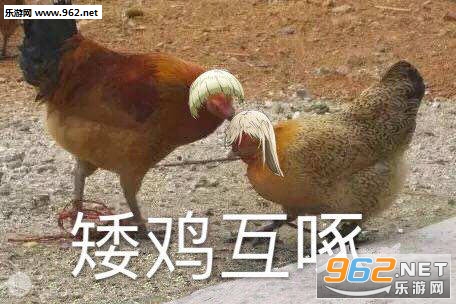 �����ű������ͼ1