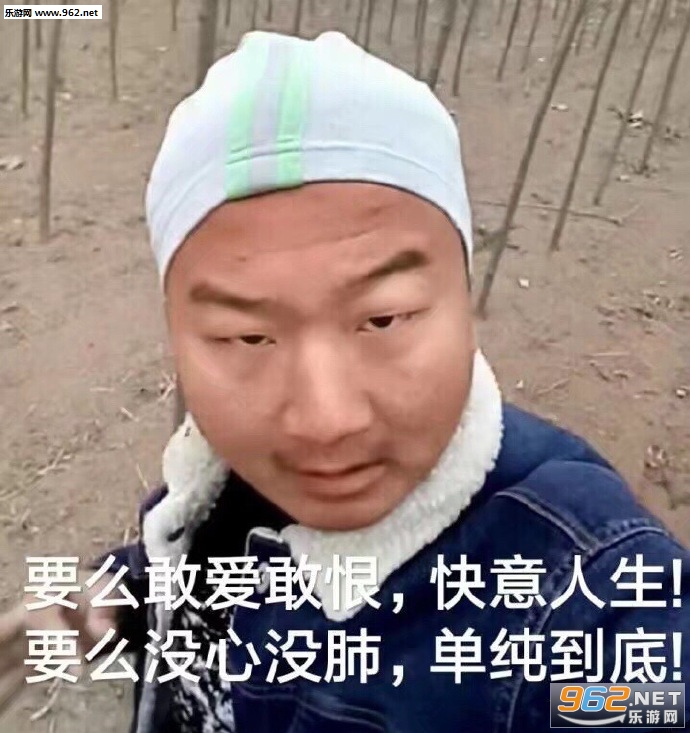�����ű������ͼ4