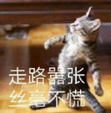 ��������������ͼ1