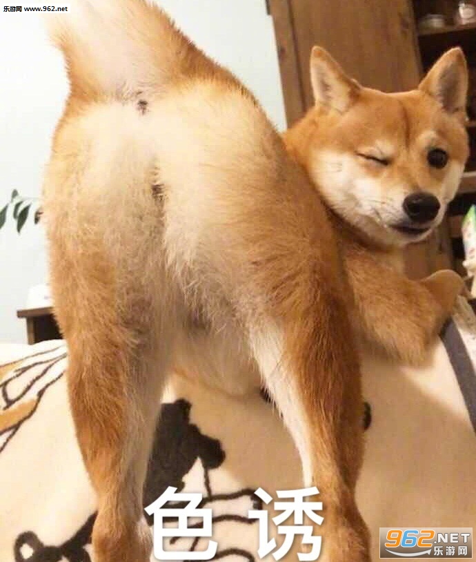 ��������������ͼ8