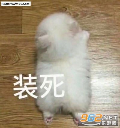 ��˵��ʧ���˱������ͼ10