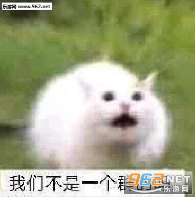 ����Ⱥ����������������ͼƬ��ͼ3