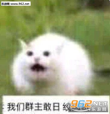 ����Ⱥ����������������ͼƬ��ͼ4
