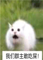 ����Ⱥ����������������ͼƬ