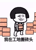 �ҵĽ�������ש������