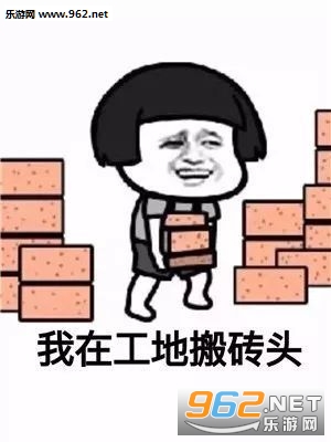 �ҵĽ�������ש��������ͼ1