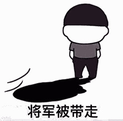 我的将军啊将军被带走版表情包截图0