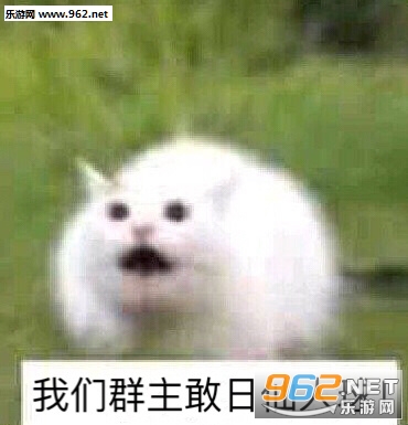 ����Ⱥ�����յ���ȱ����ͼƬ��ͼ10