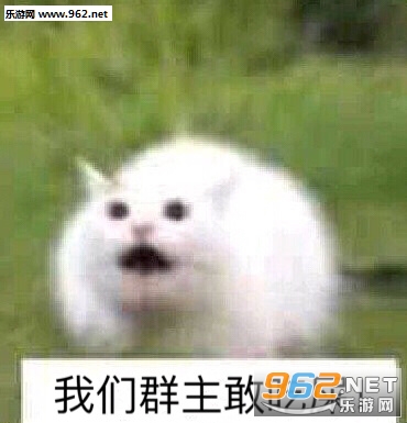 ����Ⱥ���ұ������ͼ0