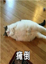 ̱�������ͼƬ