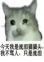 ������������èèͷ�����