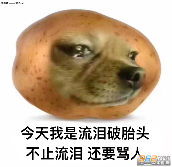 ������������èèͷ�������ͼ3