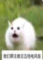 ����Ⱥ�����ձ����