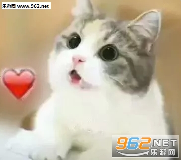 ������·�������ͼ2