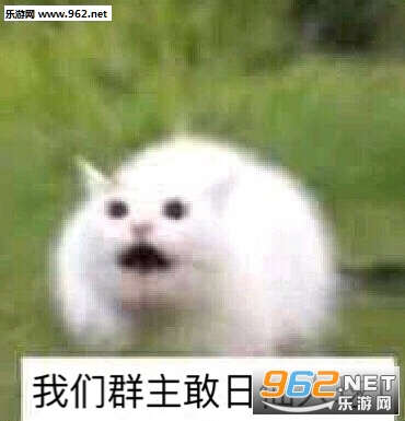 ����Ⱥ������������������ͼ2