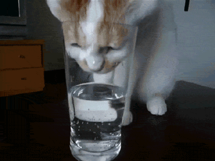 è���ˮ��Цgif��ͼ��ͼ3