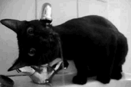 è���ˮ��Цgif��ͼ��ͼ4