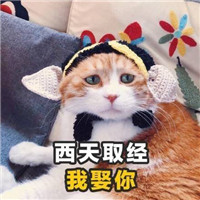 è����ζ�黰���ֱ������ͼ1