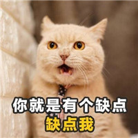 è����ζ�黰���ֱ������ͼ0