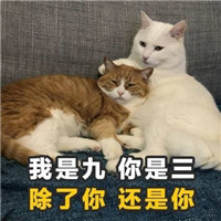 è����ζ�黰���ֱ������ͼ4