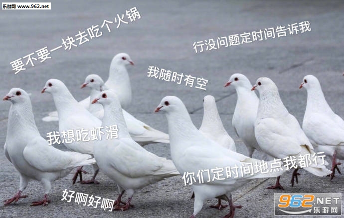 ��æ���������Ÿ��ӱ������ͼ0
