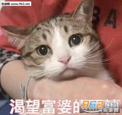 ûǮ���������ͼ4