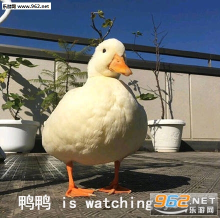 ��ѽ��ѽ��ѽ��ѽ�����ͼƬ��ͼ8