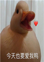 ͻȻ������ʾ�����ͼƬ