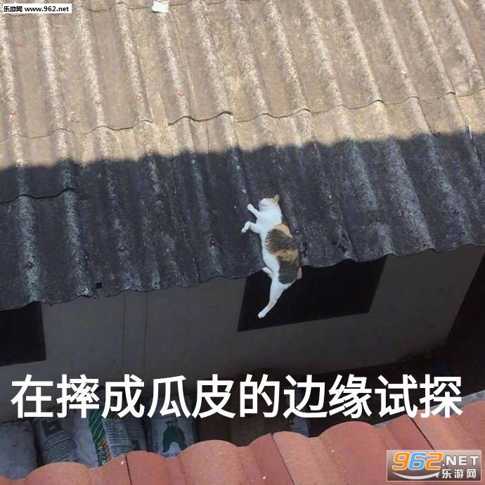 ��ˤ�ɹ�Ƥ�ı�Ե��̽�����ͼƬ��ͼ7
