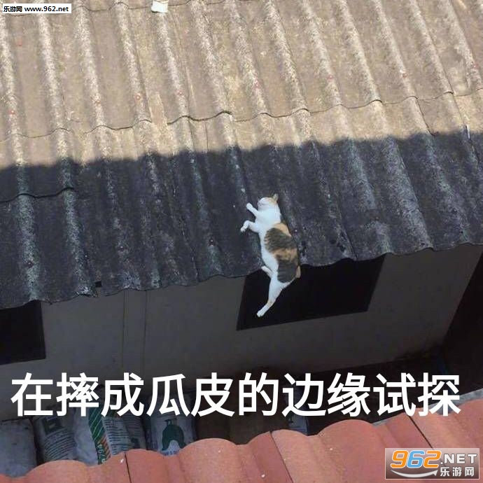 �������������΢Ц��ƽ���������ͼ2