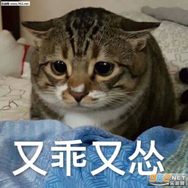 �������Ѿ�������ս���������������ͼ0