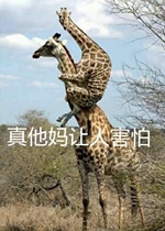 �������������΢Ц��ƽ�������