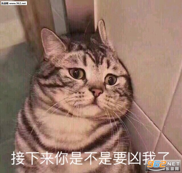 ������������������������ܺ�õ�Сè�������ͼ0