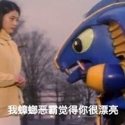 铁甲小宝搞笑表情包截图0
