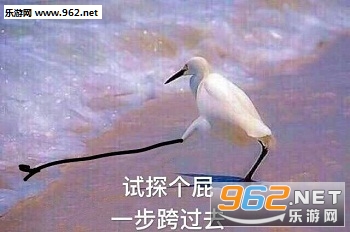 ��֪��ô�ͱ����Ž�ȥ�˱����ͼƬ��ͼ1