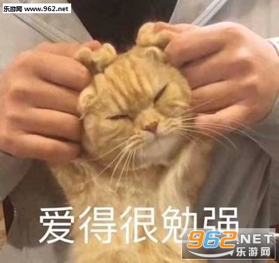 ��ʹ������ҵ�֪ʶä���˱������ͼ0