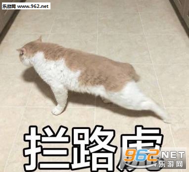 ��ʹ������ҵ�֪ʶä���˱������ͼ1