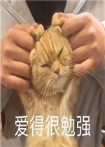 ��ʹ������ҵ�֪ʶä���˱����