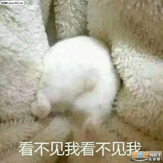 ������ƽ�ع��ޱ������ͼ7