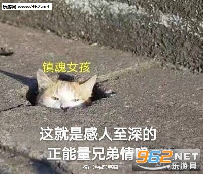 ���ɳ��������ϼ�(�����ܴ���)��ͼ10