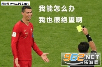 С����C�ޱ������ͼ10