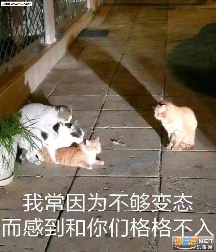 �������������˱����ͼƬ��ͼ6