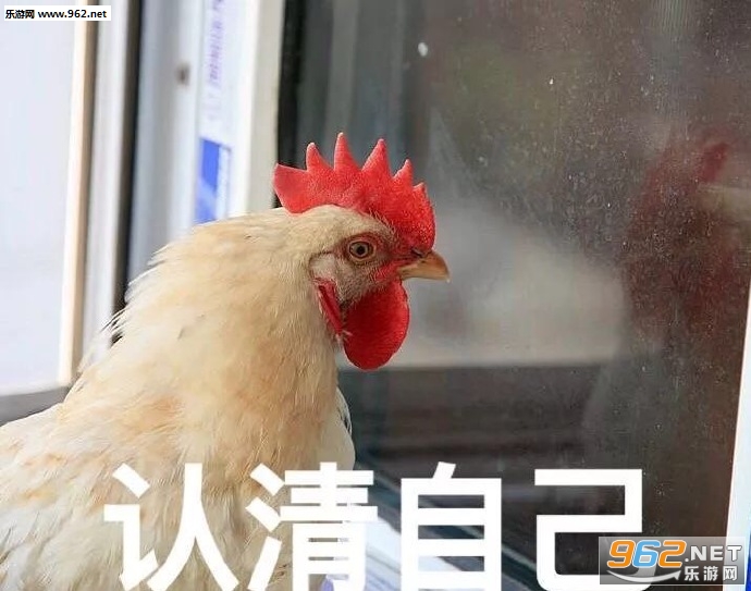 ����̫���ǽ�һ��С�������ͼƬ��ͼ3