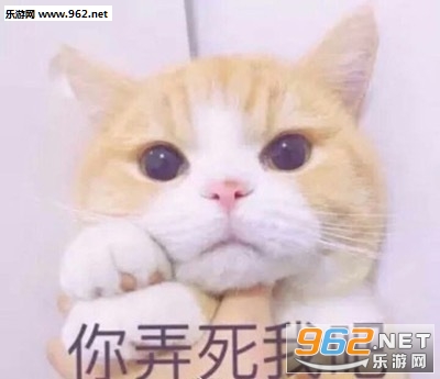 ����̫���ǽ�һ��С�������ͼƬ��ͼ4