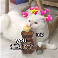 meyouС���ı������ͼ2