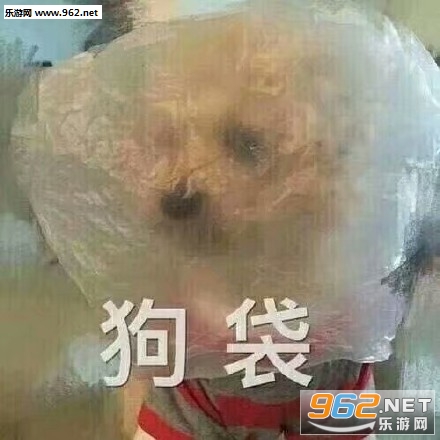 �ҵ���Ѽʲô�������ͼƬ��ͼ4