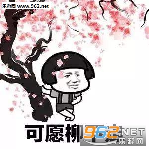 �ҵĽ������������ͼ1